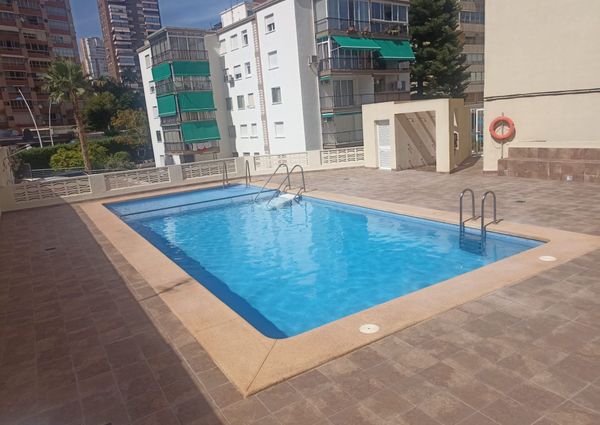 Apartamento en Benidorm, Playa Levante-Centro, alquiler