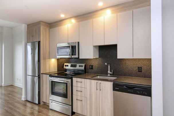 30 Saint-Joseph Est, Montréal, QC - Photo 1