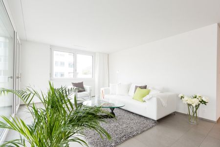 Rein ins neue Wohnglück! Grosse 4.5 Zimmer-Wohnung mit Sitzplatz - Photo 3