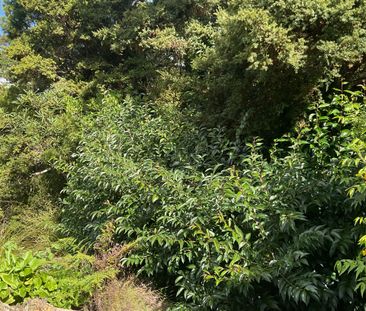 RURAL HOME INCLUDING POWER BROADBAND AND WATER - Photo 4