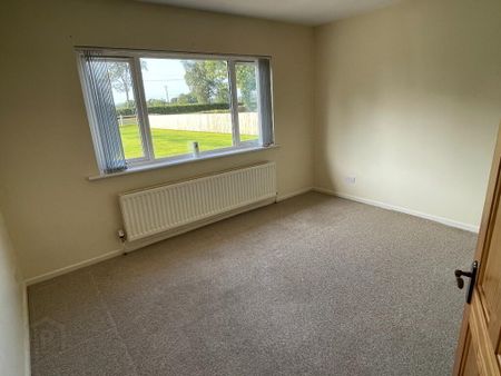 141 Drum Road, Cookstown, BT80 9DW - Photo 3