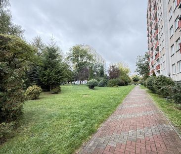Mieszkanie na Wynajem, 44.00m - Фото 2