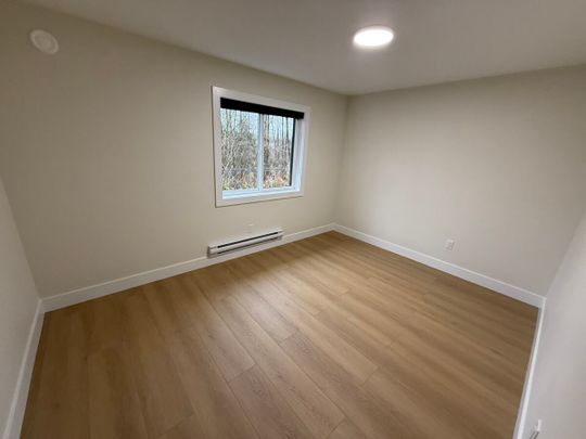 Brand New Coach House - Photo 1