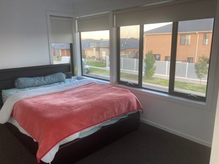 Donnybrook - Photo 3