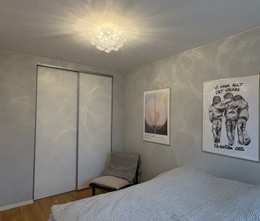 Södra Vägen, Lund - Photo 5