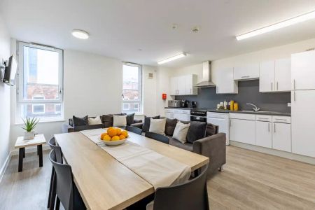 Standard Studio - Photo 3