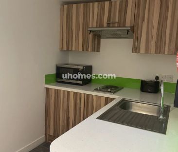 Budget Classic Apartment - Photo 4