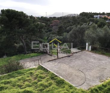 Μονοκατοικία 240 τ.μ. προς ενοικίαση - Photo 5