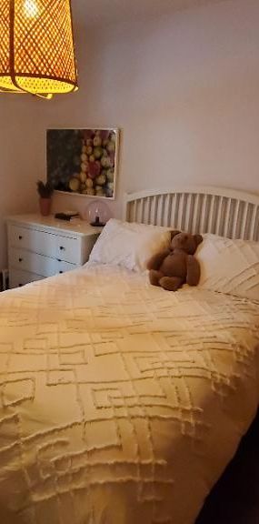 4½ rénové rez-de-chaussée Rosemont-Petite-Patrie - Photo 1