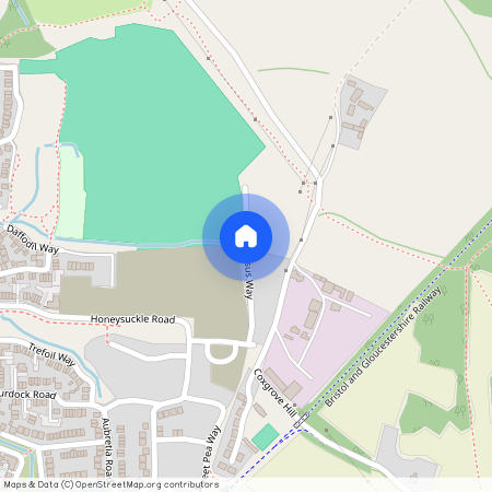 Narcissus Way, Lyde Green