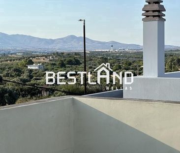 Μονοκατοικία για ενοικίαση Μαρκόπουλο - Photo 1