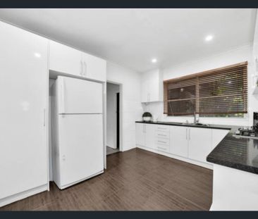 Hidden Gem Alert!! - Photo 4