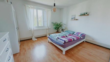 3 Zimmer-Wohnung in Thun (BE), möbliert, auf Zeit - Photo 4