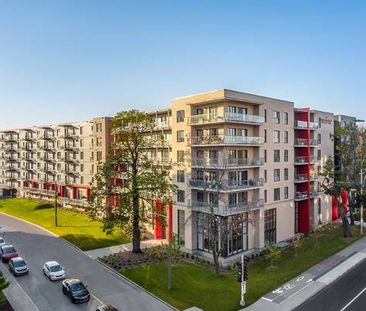 Condos locatifs neufs à prix compétitifs à louer Sainte-Foy - Photo 3