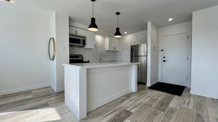 For Lease - 9 Princess Street Unit# 303, Orangeville, Ontario - Photo 3