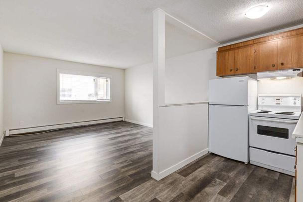 1 Bedroom - Photo 1