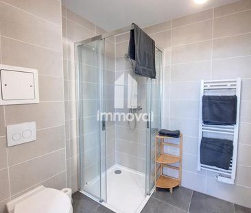 Location Appartement 1 pièce Meublé 24m² STRASBOURG 67000 - Photo 4