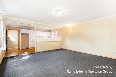 118a Silver Street, St Peters, NSW 2044 - Photo 3