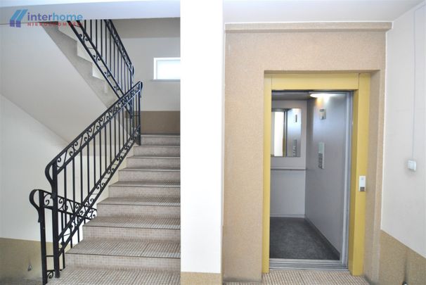 Tychy, Cztery Pory Roku - Photo 1