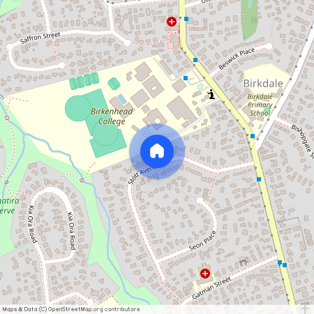 29 Stott Avenue, Birkdale, North Shore City