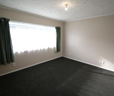 Freshly renovated on Vogel - Photo 2