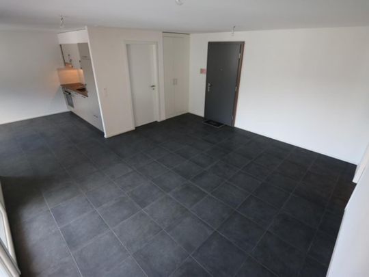 Rue des Grands Praz 11, 1906 CHARRAT - Photo 1