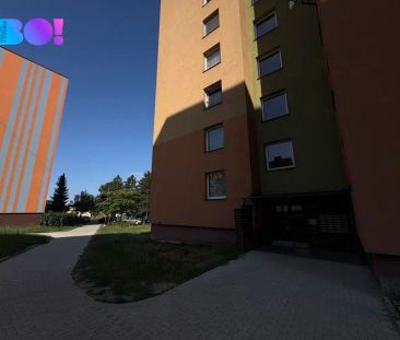 Pronájem bytu 4+1, ul. F. S. Tůmy, Orlová-Lutyně - Photo 3