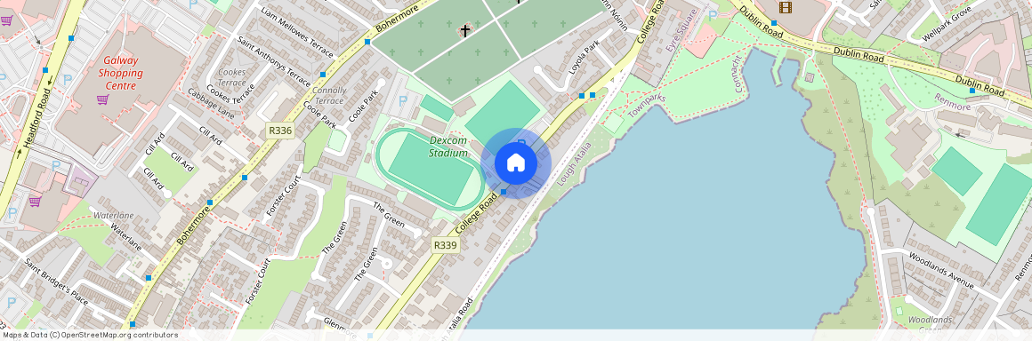 College Road, Sea View Court, Galway City Centre, Co. Galway