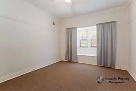59 Lorna Street, Waratah - Photo 4