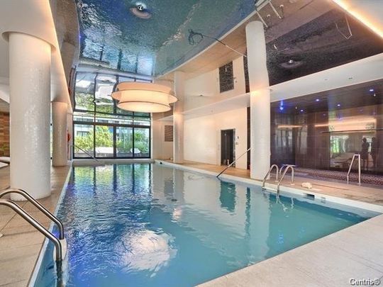 Condo for rent, Montréal (Le Sud-Ouest) - Photo 1