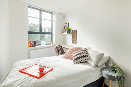 1 Bedroom Shared House - Photo 4