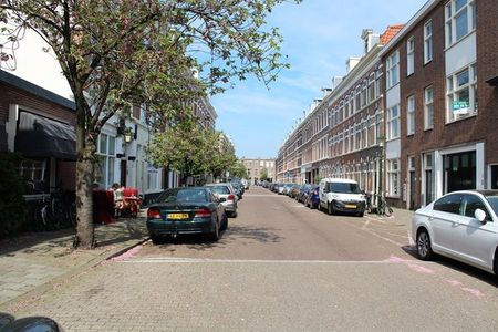 Te huur: Appartement Rijklof van Goensstraat in Den Haag - Photo 3