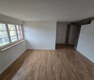 Charmantes Gewerbeobjekt mit 7.5-Zimmer in historischem Gebäude - Foto 4