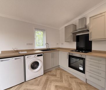 1 bedroom lodge to rent - Photo 3