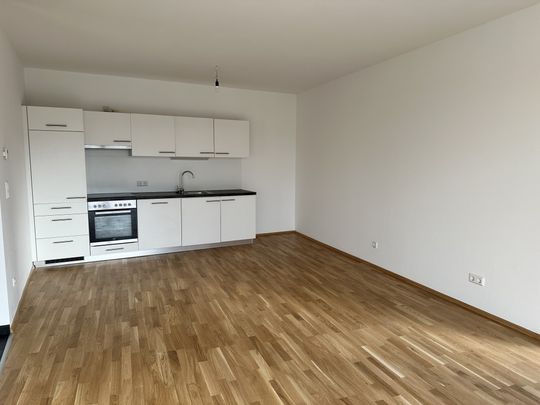 Jakomini – 52m² – großzügige 2 Zimmer-Wohnung – riesige Terrasse – Top Zustand - Photo 1