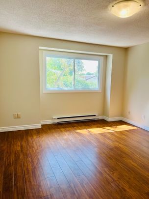 For Lease - 135 Belmont Drive Unit# 9, London South, Ontario - Photo 1