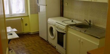 STRASBOURG : appartement 2 pièces (42 m² Carrez) en location - Photo 2