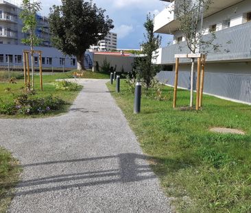 ACHTUNG REININGHAUS LETZTER STOCK MIETAKTION 2-ZIMMERWOHNUNG MIT TO... - Photo 3