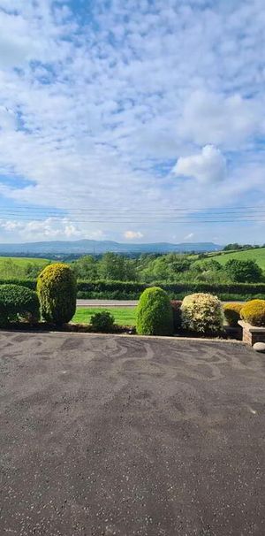 182 Mealough Road, Carryduff, Belfast, BT8 8LY - Photo 1