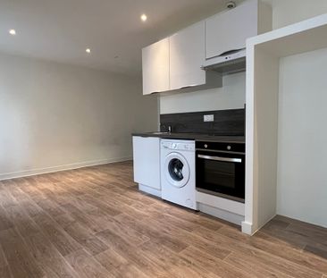 Location Appartement 1 pièce 26m² VILLEFRANCHE SUR SAONE 69400 - Photo 2