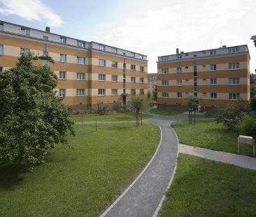 charmante frisch sanierte Wohnung mit Balkon sucht neue Mieter - Foto 1