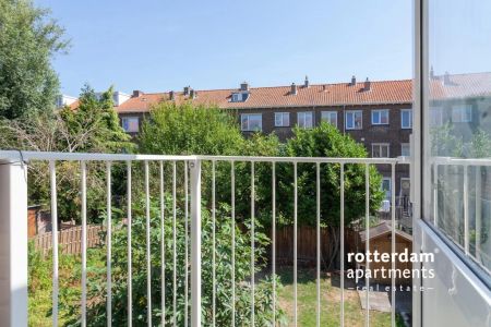 Lepelaarsingel, Rotterdam - Foto 2