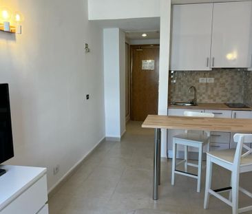 Estudio En alquiler Calle Aceviño 21, Distrito Botánico, Puerto de ... - Photo 5