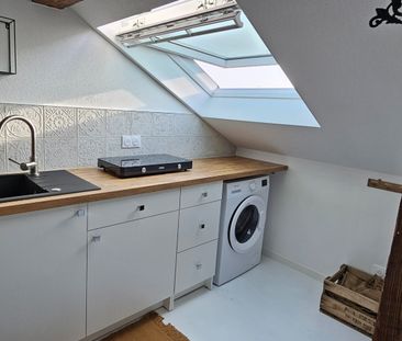 Location Appartement 1 pièce 50m² MULHOUSE 68100 - Photo 5