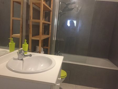 Location Appartement 2 pièces 36m² BLAGNAC 31700 - Photo 5