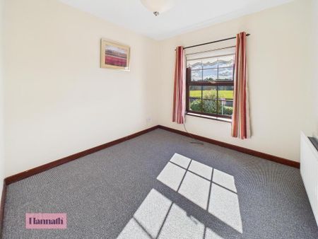 164 Banbridge Road, Lawrencetown, BT63 6DN - Photo 3