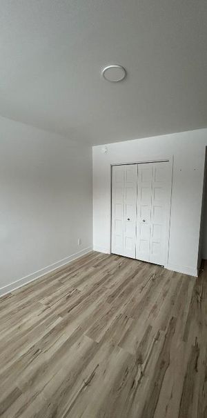 3 1/2 à louer Animaux acceptés 🐾 - Photo 1