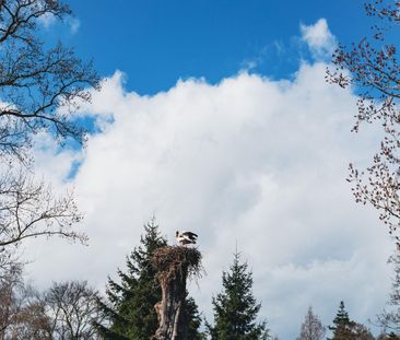 Laan van Zuilenveld 54, Oud-Zuilen, 3611AJ, Oud Zuilen - Photo 3