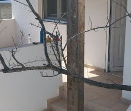 Μονοκατοικία για ενοικίαση - Γούβες, - Photo 6