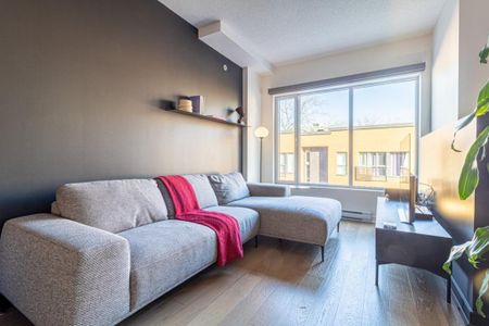 Appartement à louer - Montréal (Ville-Marie) (Centre) - Photo 3
